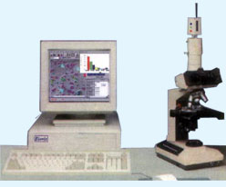 Image Analysis System